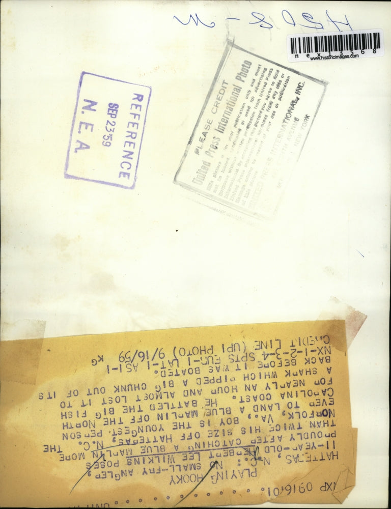 1959 Press Photo Herbert Lee Wilkins, 11, poses with Blue Marlin