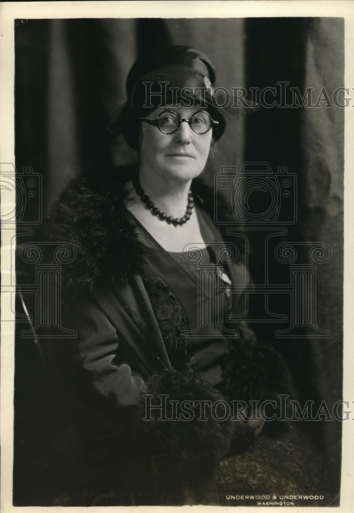 1927 Press Photo Wife of William Rock Painter candidate for VP of the DAR