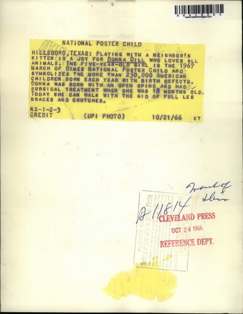 1966 Press Photo Hillsboro Texas Donna Dill March of Dimes girl & a kitten