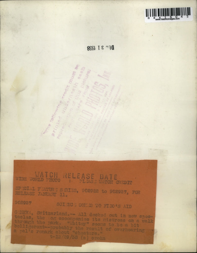 1938 Press Photo Geneva Switzerland Whitey the dog & his mistress on a walk