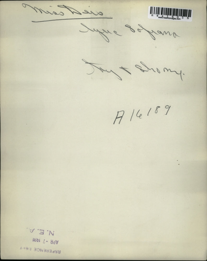 1931 Press Photo Miss Deis lyric soprano - nex16056