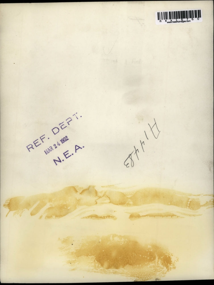 1932 Press Photo A woman entertainer in beautiful gown