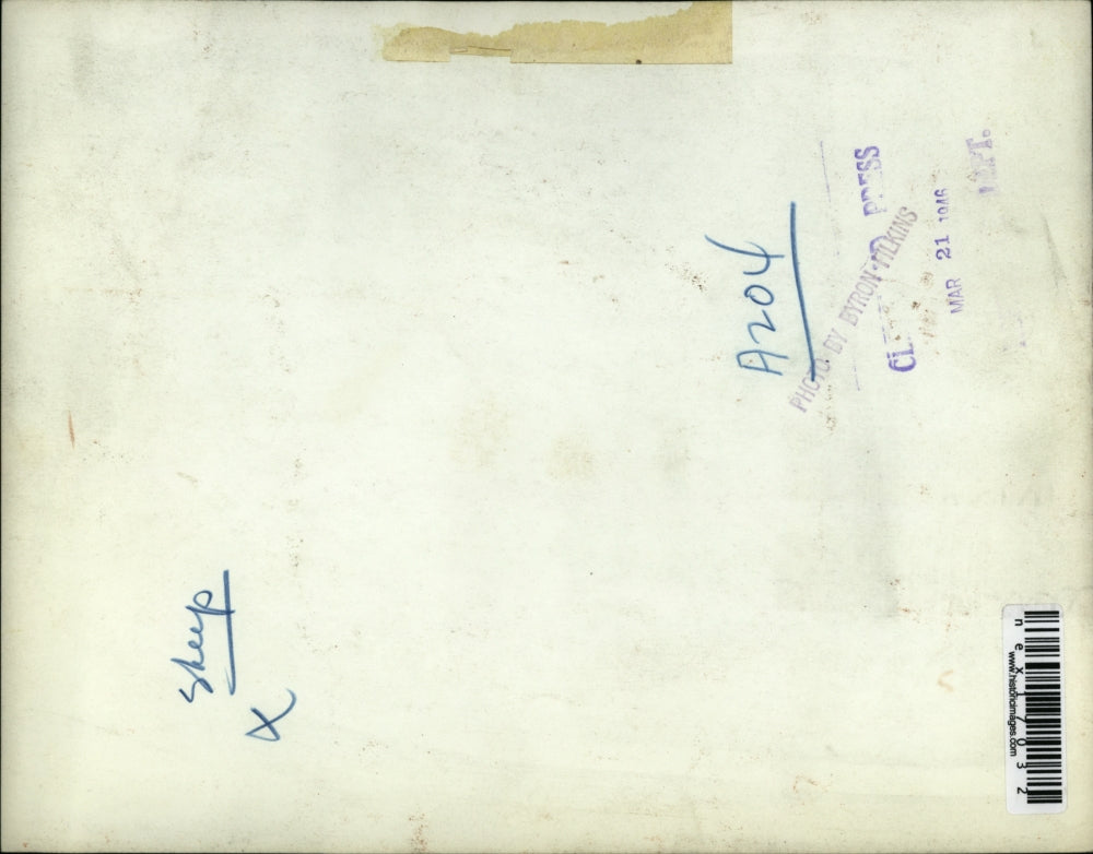 1946 Press Photo Sheep & a lamb on a farm