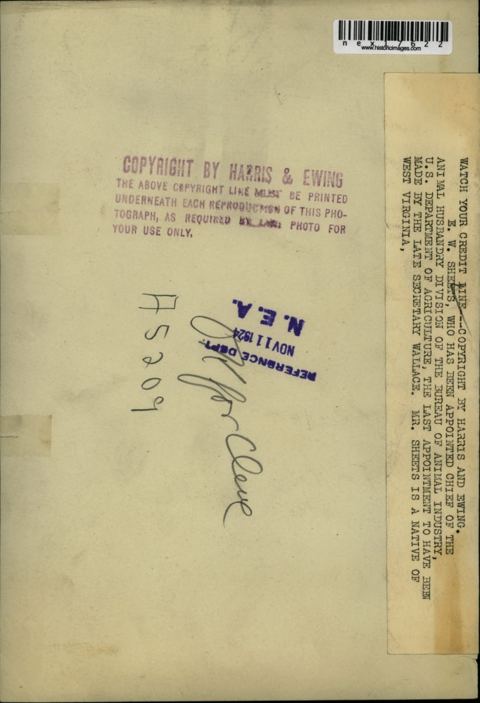 1924 Press Photo EW Sheets chief of animal husbandry Bureau of Animal Ind.