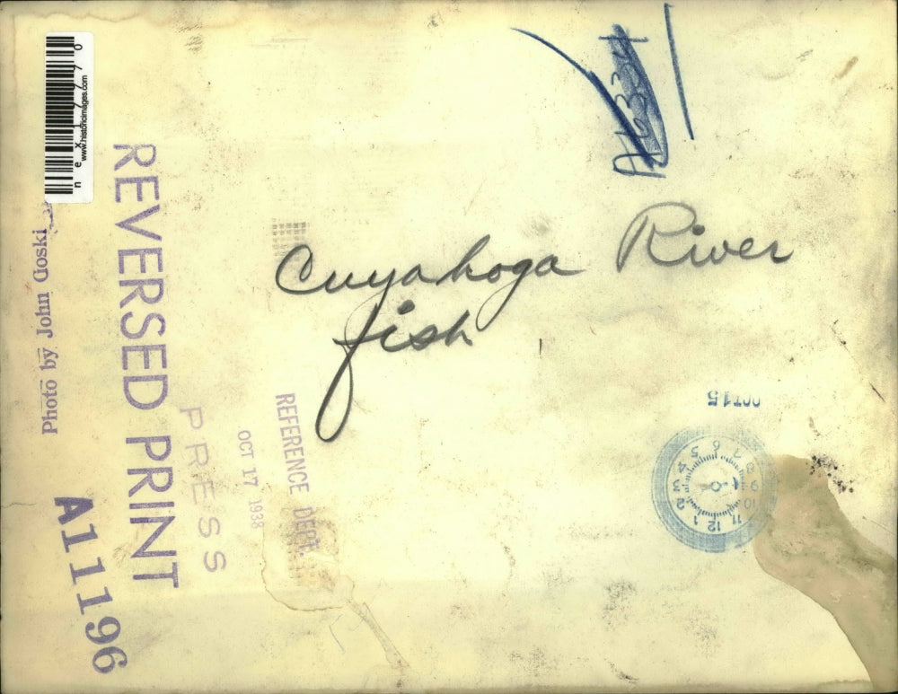 1938 Press Photo Fish in Cuyahoga River - nex17770