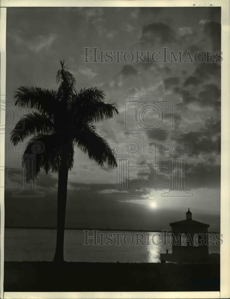 1938 Press Photo Miami Florida sunset thru palm trees on the coast