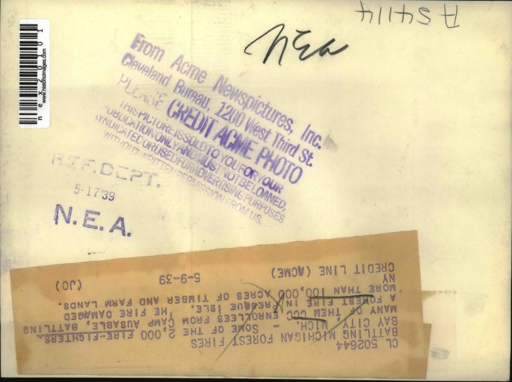 1939 Press Photo Fire Fighters Battle Bay City Presque Isle Forest Fire, Mich.