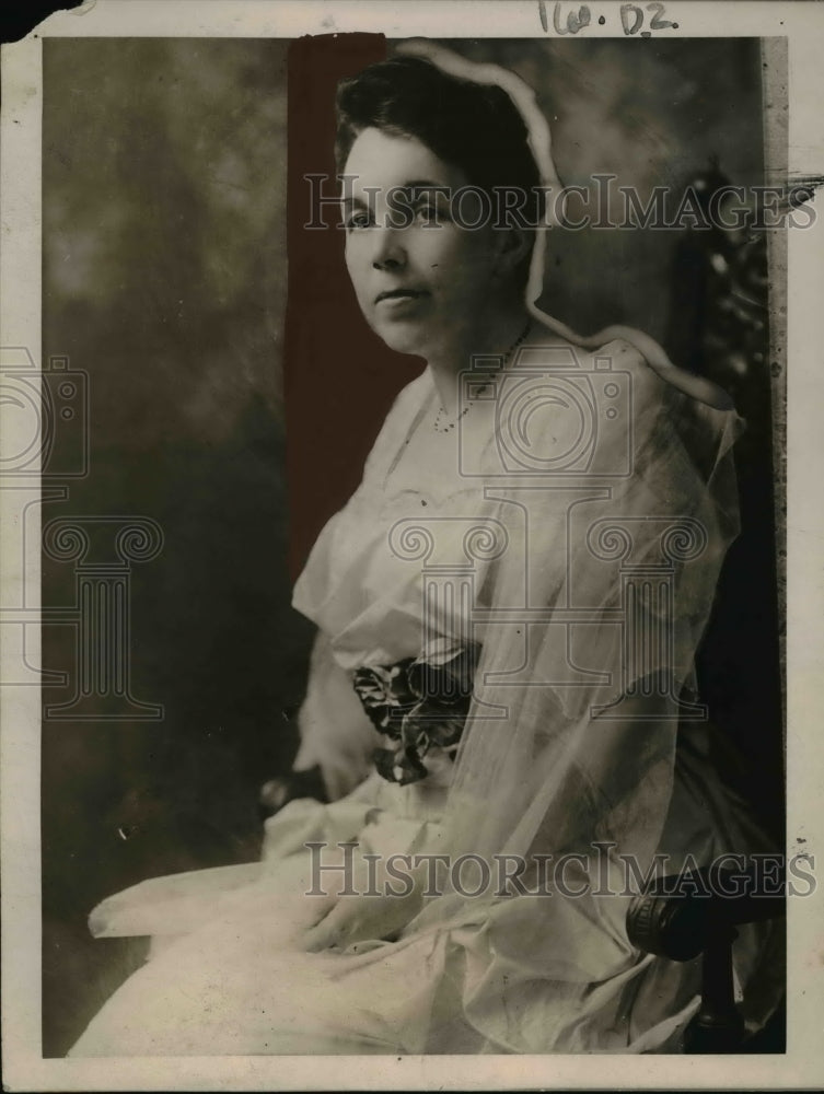 1920 Press Photo Mrs George H White wife of Democratic chairman