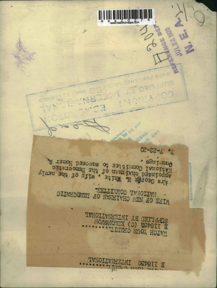 1920 Press Photo Mrs George H White wife of Democratic chairman