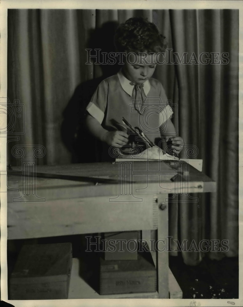 1931 Press Photo Van Dkye Tiers age 3 Downers Grove Ill. at studies