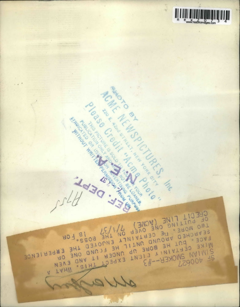 1937 Press Photo Mike the monkey at a zoo