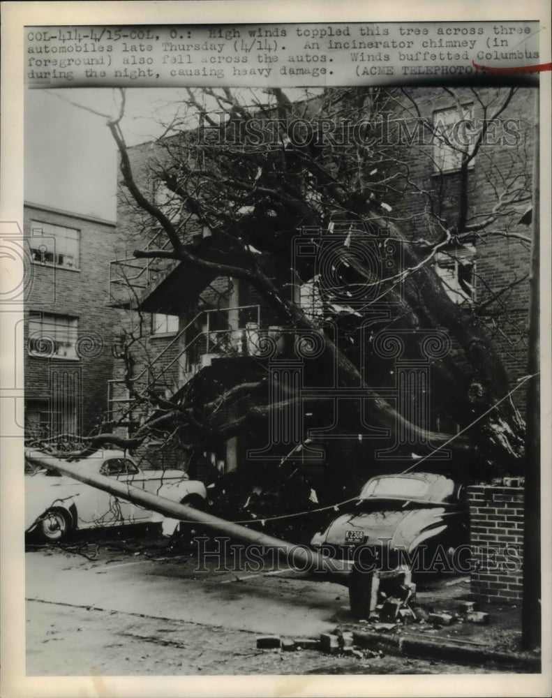 1949 Press Photo High winds topple trees into cars & buildings