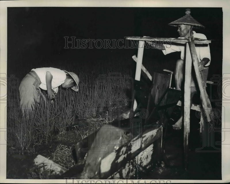 Load image into Gallery viewer, 1947 Press Photo Ibargi Japan men pump water into rice paddies

