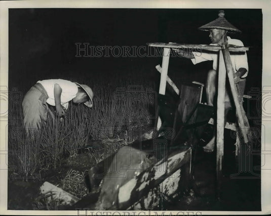 1947 Press Photo Ibargi Japan men pump water into rice paddies