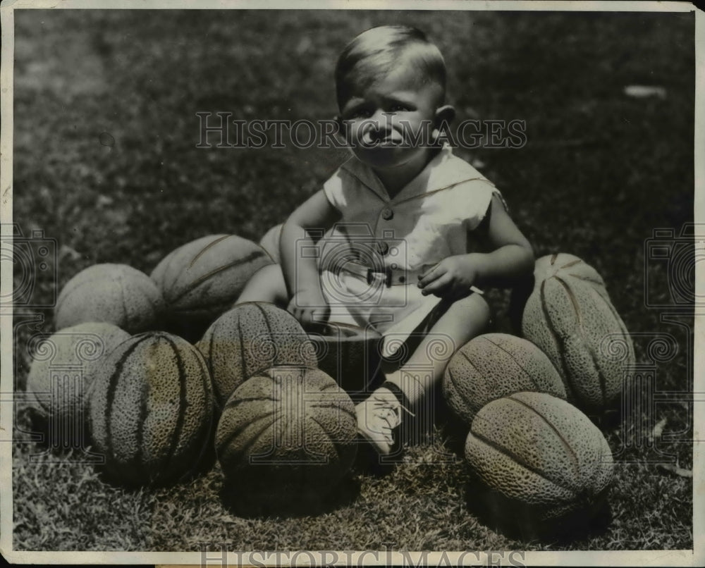 1931 Press Photo Cantenloupes Ripe Billy Strom Brawley Ranch
