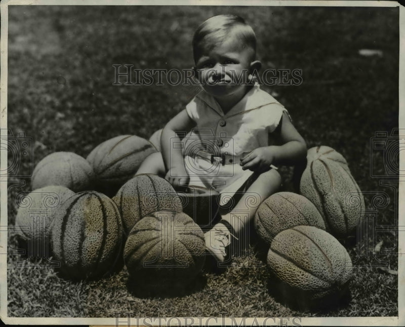 Load image into Gallery viewer, 1931 Press Photo Cantenloupes Ripe Billy Strom Brawley Ranch
