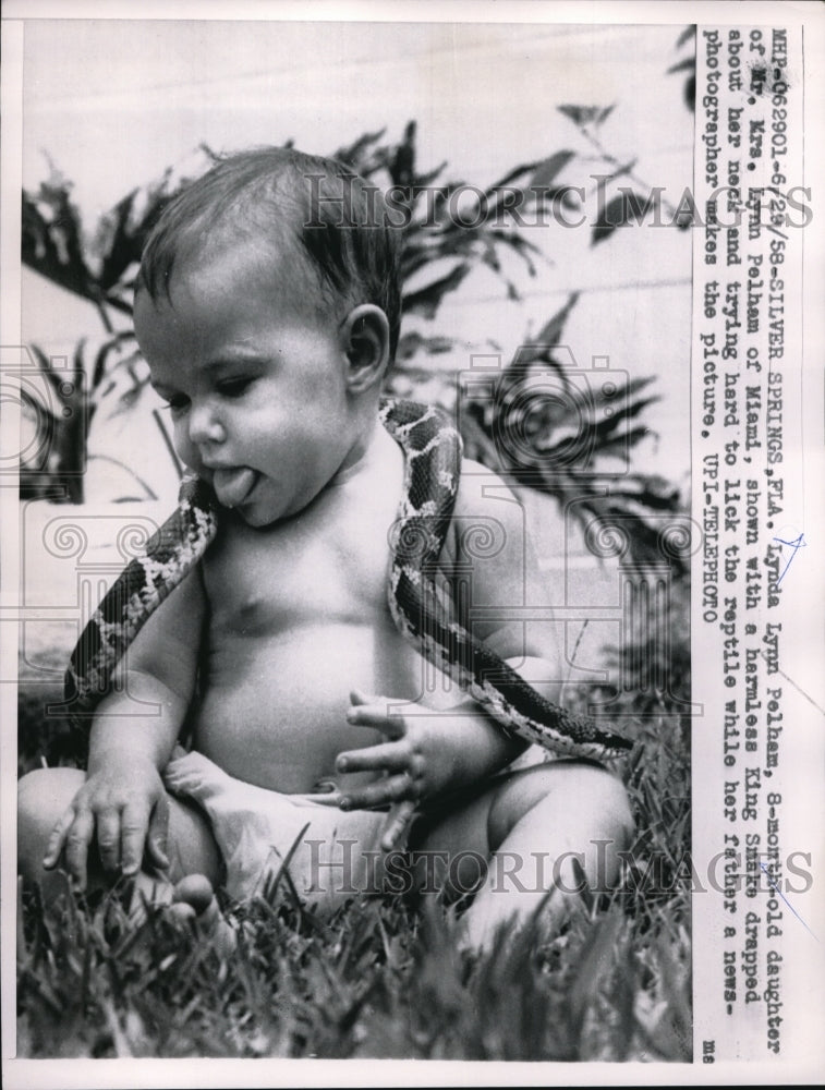 Load image into Gallery viewer, 1958 Press Photo Lynda Lynn Pelham and King Snake Silver Springs Florida
