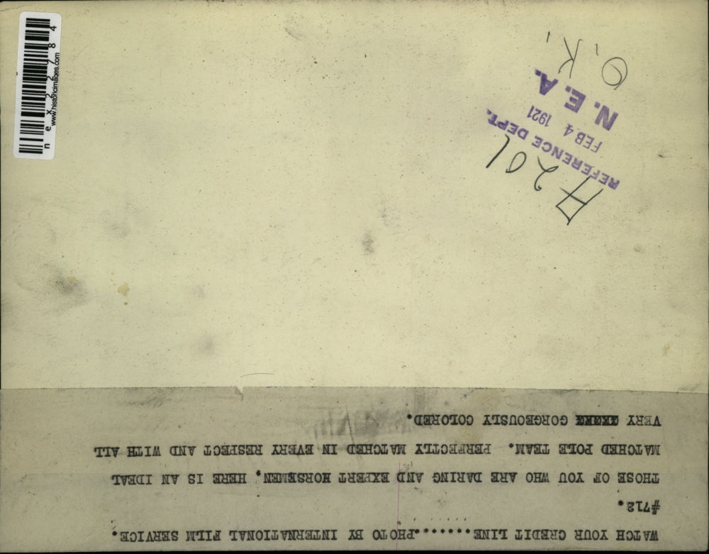 1921 Press Photo Zebras in a enclosure at a zoo