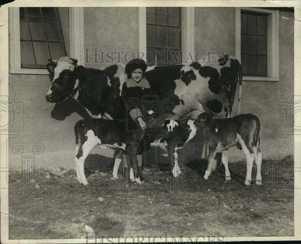 1927 Press Photo Triplet Calves Orin Clifford Dairy at Lake Mirimichi P Forteous