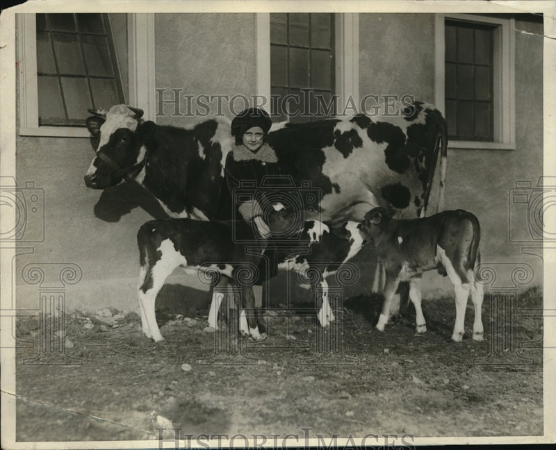 Load image into Gallery viewer, 1927 Press Photo Triplet Calves Orin Clifford Dairy at Lake Mirimichi P Forteous
