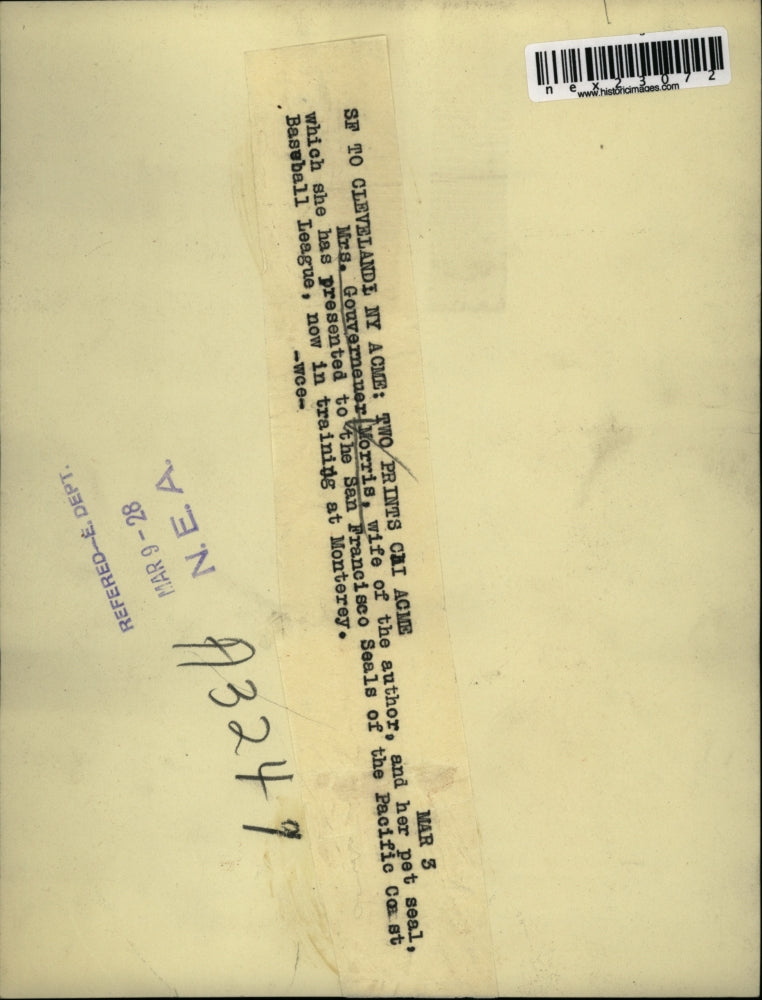 1928 Press Photo Mrs Gouverneuer Morris authors wife & a seal - nex23072