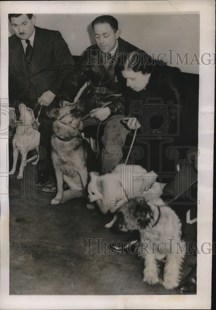 1938 Press Photo Milan Italy New animal hospita & visitors & their dogs
