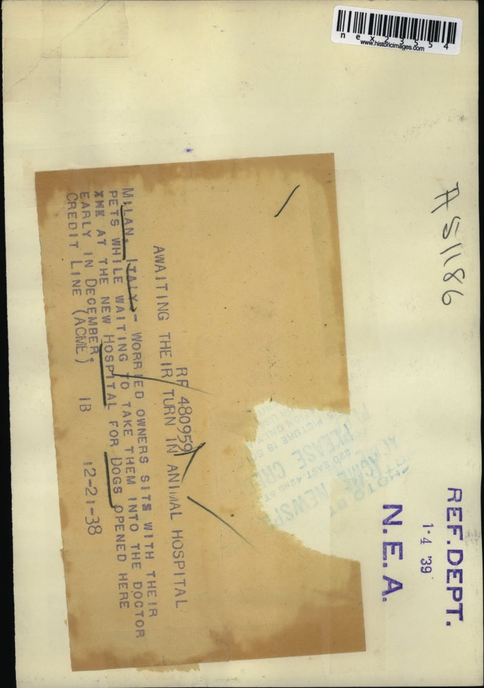 1938 Press Photo Milan Italy New animal hospita & visitors & their dogs