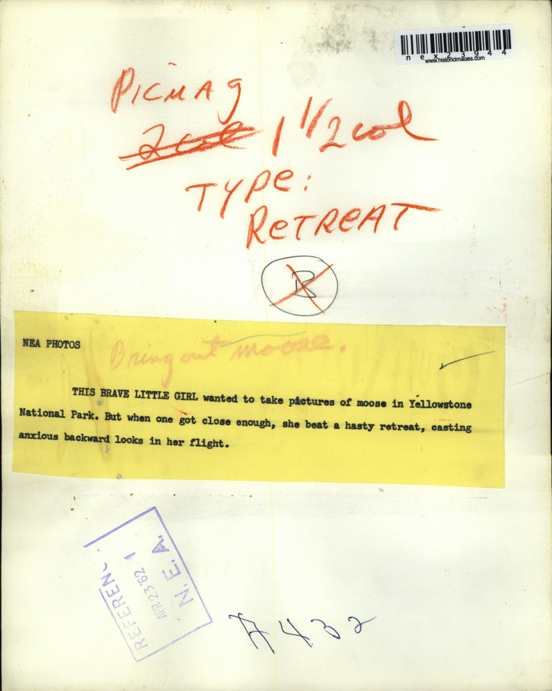 1962 Press Photo Girl Photographs Moose at Yellowstone National Park