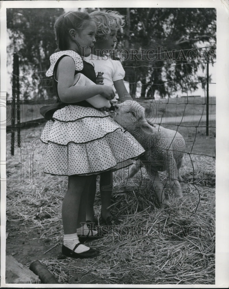 Load image into Gallery viewer, 1955 Press Photo Dianah Duflock and Carol Gowman feed lost lamb.
