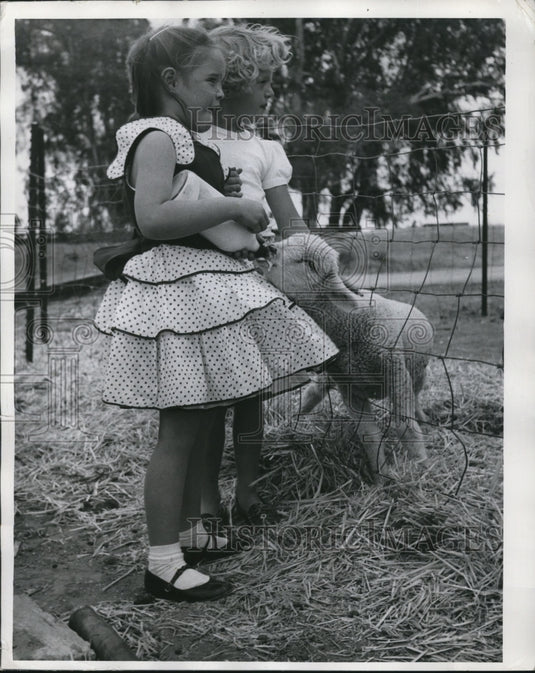 1955 Press Photo Dianah Duflock and Carol Gowman feed lost lamb.