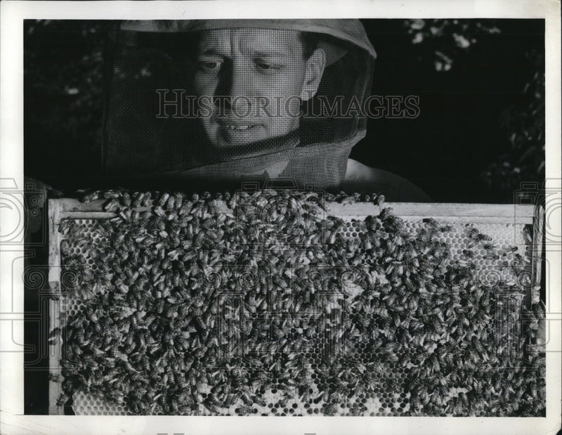 Load image into Gallery viewer, 1942 Press Photo Bill wearing protective bee veil when handling his bees.
