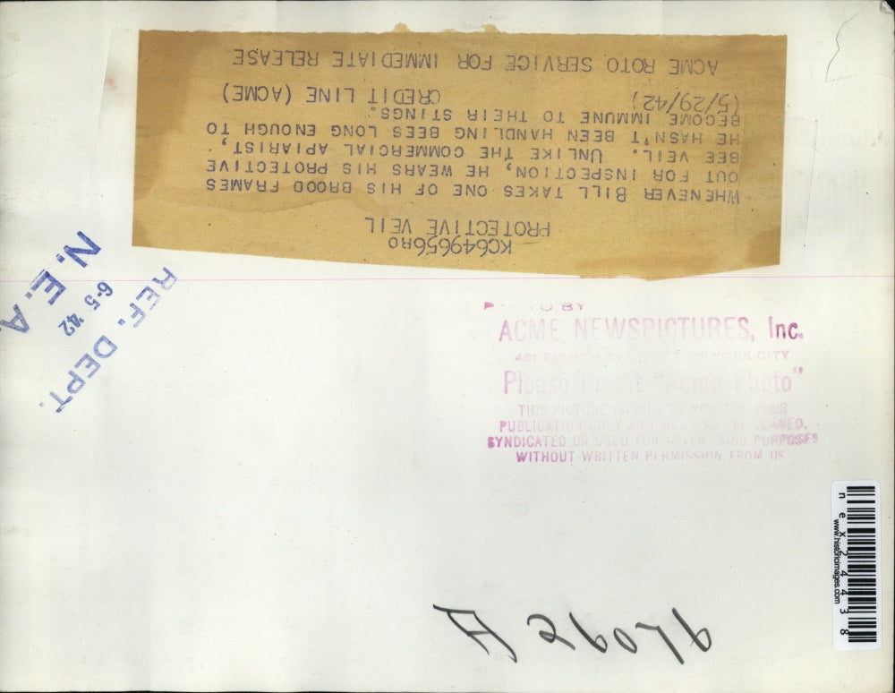 1942 Press Photo Bill wearing protective bee veil when handling his bees.