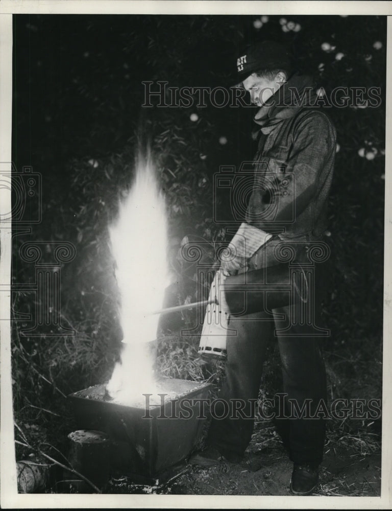 Load image into Gallery viewer, 1938 Press Photo Citrus groves use fire &amp; smoke pots to protect from frost in Ca
