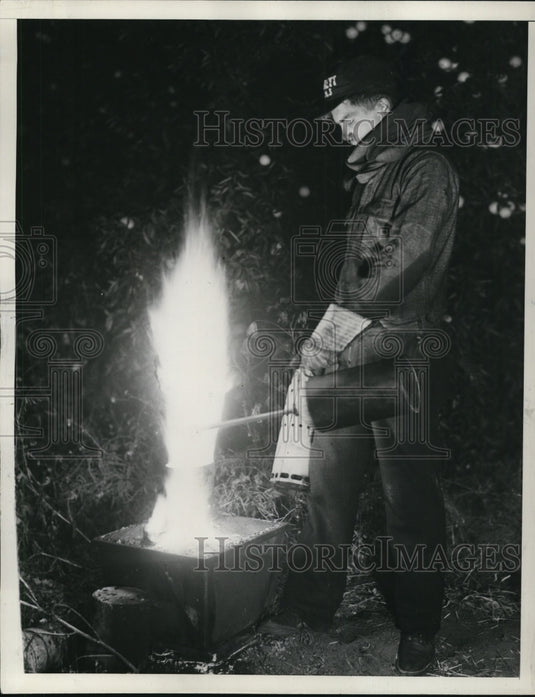 1938 Press Photo Citrus groves use fire & smoke pots to protect from frost in Ca