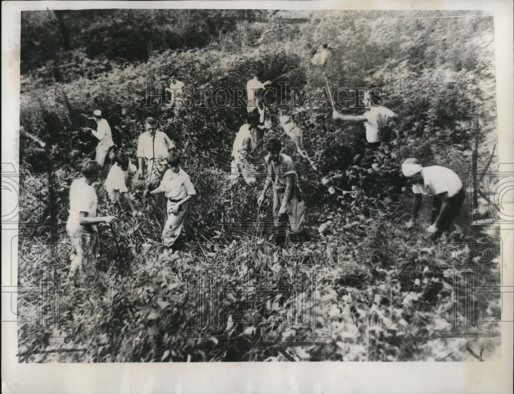 1933 Press Photo Boy Scouts searching for Arthur Biron