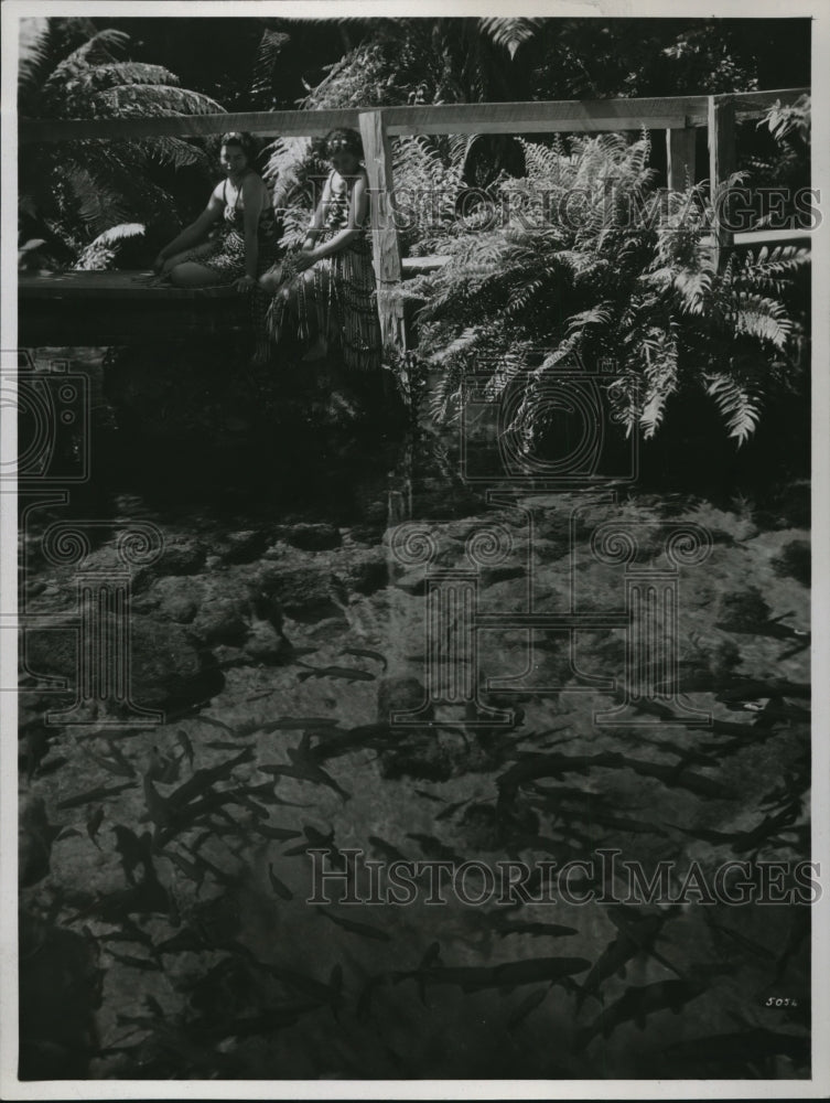 1940 Press Photo 5054 Trout In Fairy Springs Rotorua, New Zealand