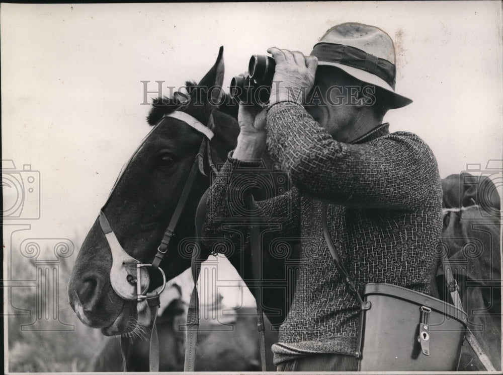 1940 Press Photo Auckland, New Zealand cattle stations similar to our old west- Historic Images