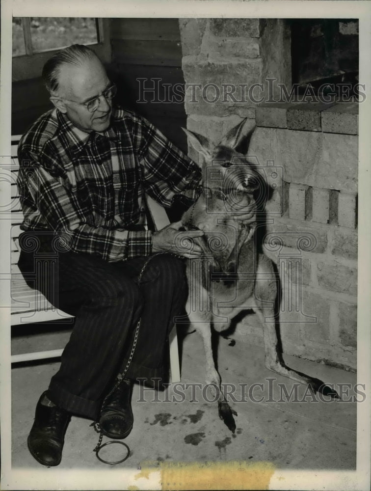 Load image into Gallery viewer, 1946 Press Photo Clothing Designer Con Bullinger &amp; Pet Kangaroo, Illinois
