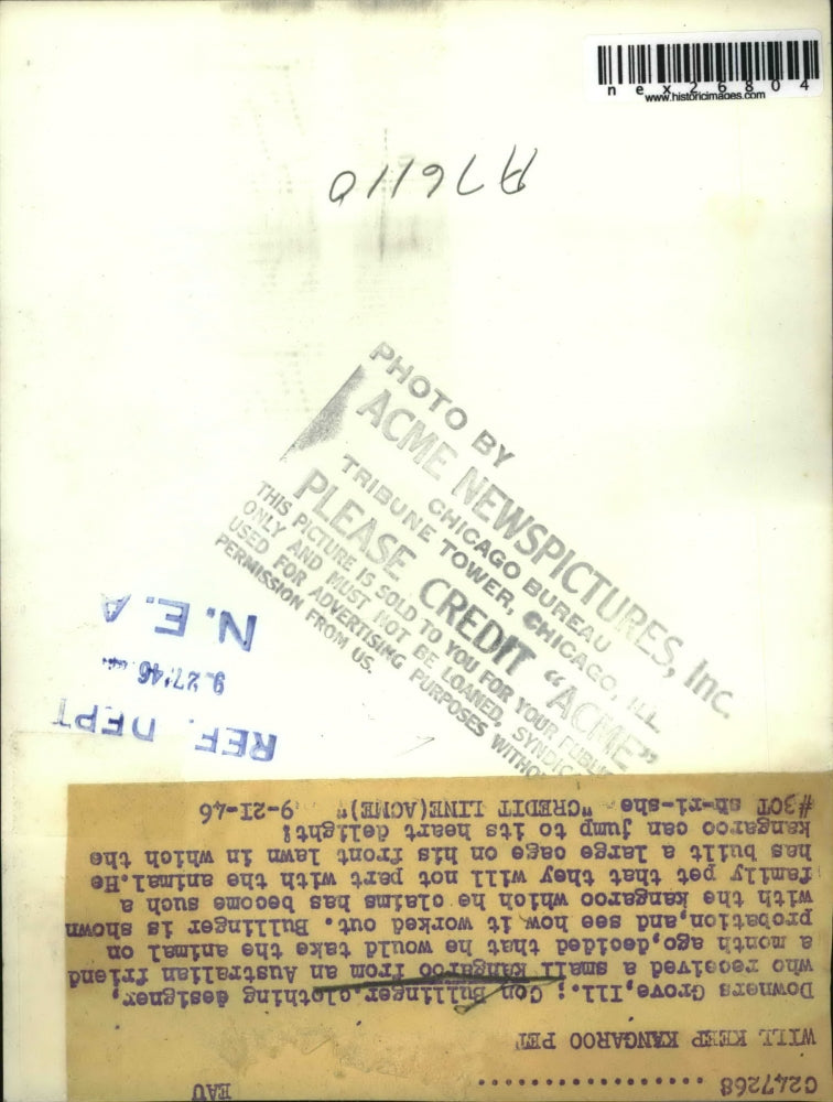 1946 Press Photo Clothing Designer Con Bullinger & Pet Kangaroo, Illinois