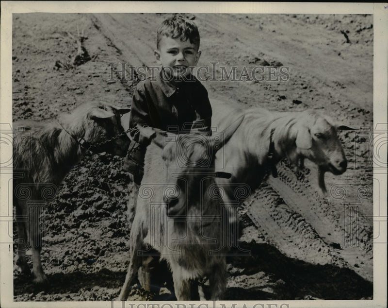 Load image into Gallery viewer, 1946 Press Photo David Parker and goats for rent with the shortage of lawnmowers
