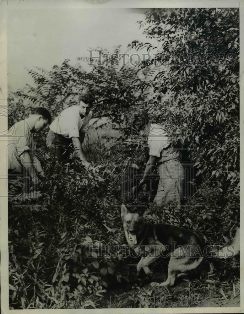 1933 Press Photo Police & Boy Scouts search for missing children in Pa.