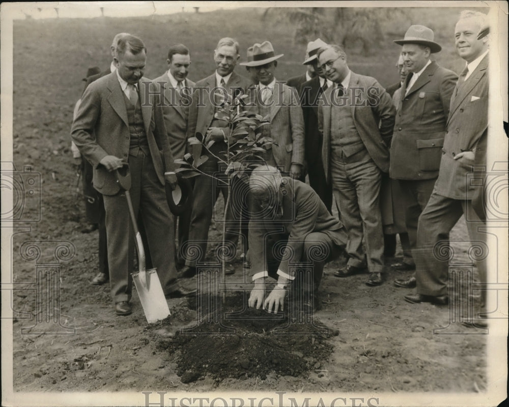 1928 Press Photo Financial wizard Mr. Otto Kahn plants trees with Charles Hopper