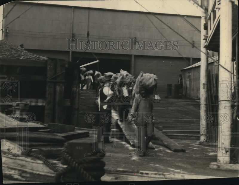 Load image into Gallery viewer, 1924 Press Photo Oldtyle river boat river loading by swarm of roustabouts
