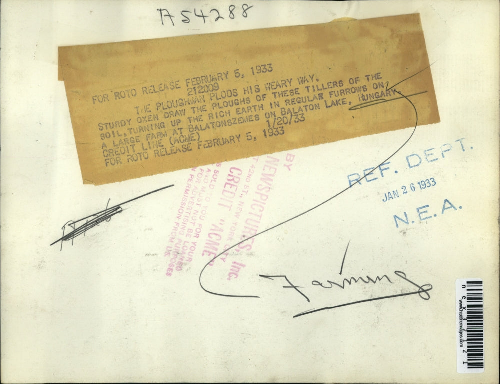 1933 Press Photo Oxen Pull Plows & Tillers at Balatonszemes, Hungary Farm