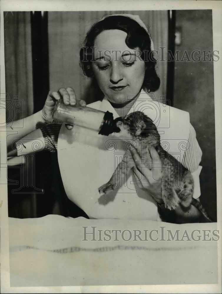 1932 Press Photo Nurse Viola Seeker feeding a cub from a bottle in the hospital