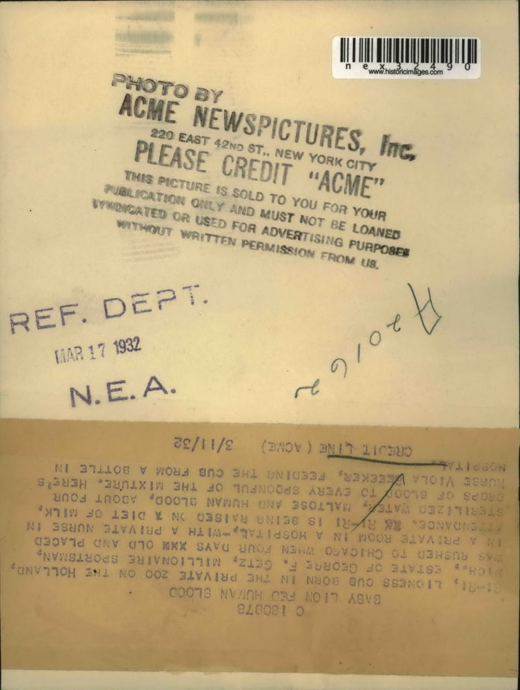 1932 Press Photo Nurse Viola Seeker feeding a cub from a bottle in the hospital