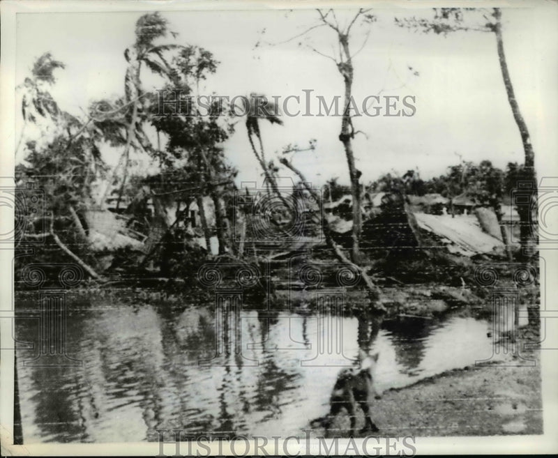 Load image into Gallery viewer, 1970 Press Photo East Pakistan dwellins in Kachha smashed by cyclone
