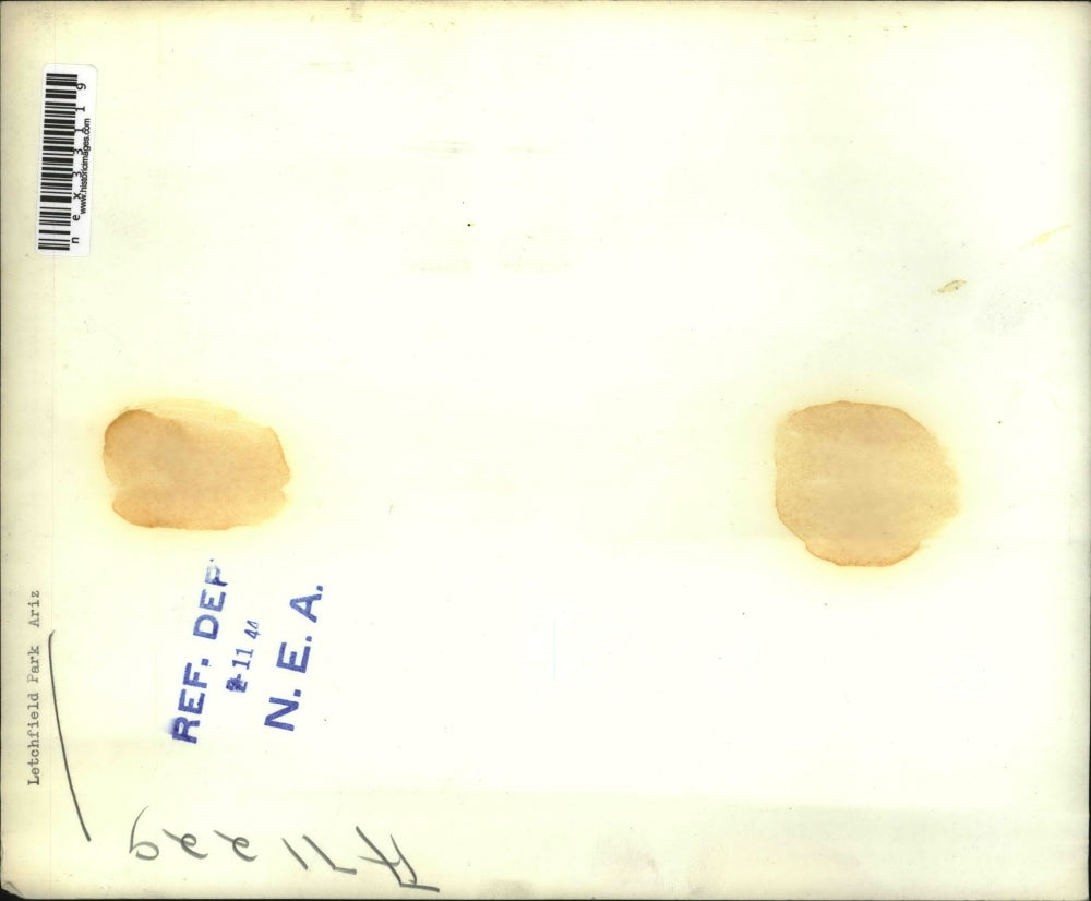 1944 Press Photo Letchfield Park Arizona - nex33119