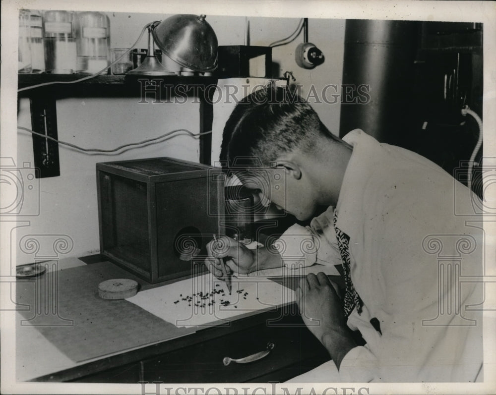 1935 Press Photo American Institute of Sanitation tests on insects of pesticides