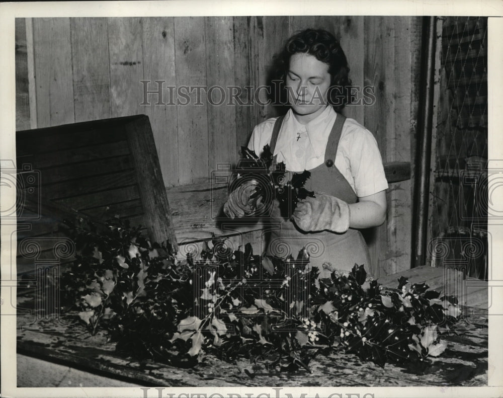 1939 Press Photo Girl sorting through holly.